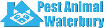 Waterbury Wildlife and Animal Removal